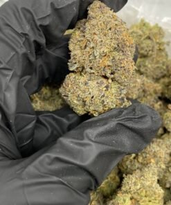 Horchata Strain