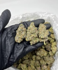 Apple Fritter Strain