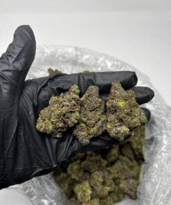 Gelonade Strain