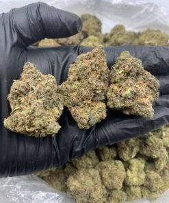 Gruntz Strain