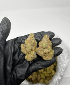 Peanut Butter Breath Strain
