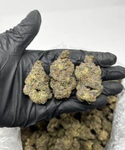 oreoz strain