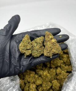 Cherry Pie Strain