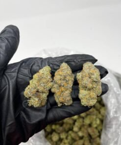 Gelato Cookies