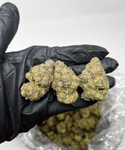 kush mint