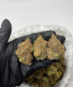 London Pound Cake Strain