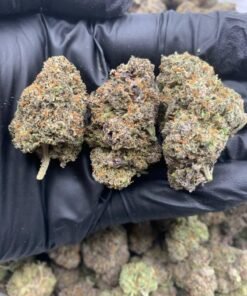 Pink Runtz Strain