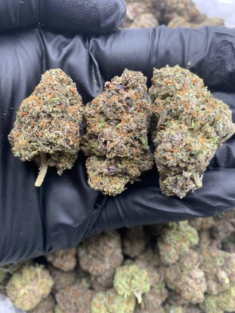 Pink Runtz Strain Organic Kush FArms