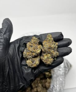 Purple Runtz