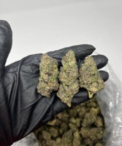 Sherblato Strain
