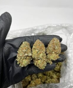 Wedding Crasher Strain