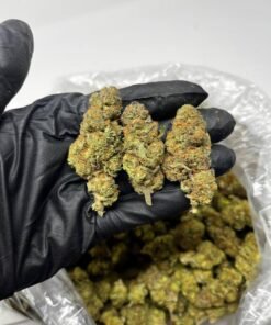 zoap strain