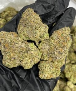 Lemon Cherry Gelato Strain