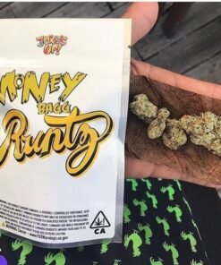 MoneyBagg Runtz Strain