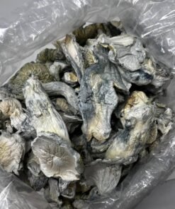price shrooms