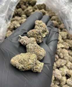 blue nerd strain