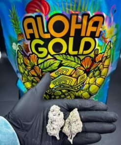 Aloha Gold Snow Cap Flower