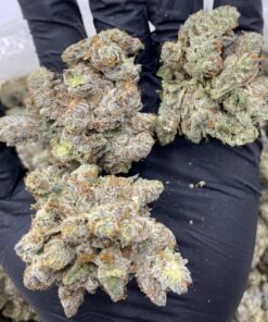 Snowman strain thc