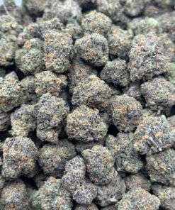 zkittlez strain