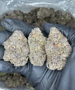 Uncle Snoop strain