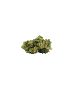 CBN / H4CBD flower Purple Haze