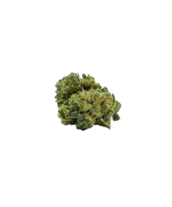 CBN / H4CBD flower Runtz