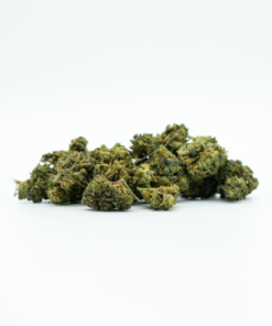 CBN / H4CBD flower Purple Haze
