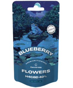 Canntropy H4CBD Flower Blueberry 40%