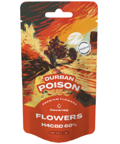 Canntropy H4CBD flower Durban Poison 60% 100g
