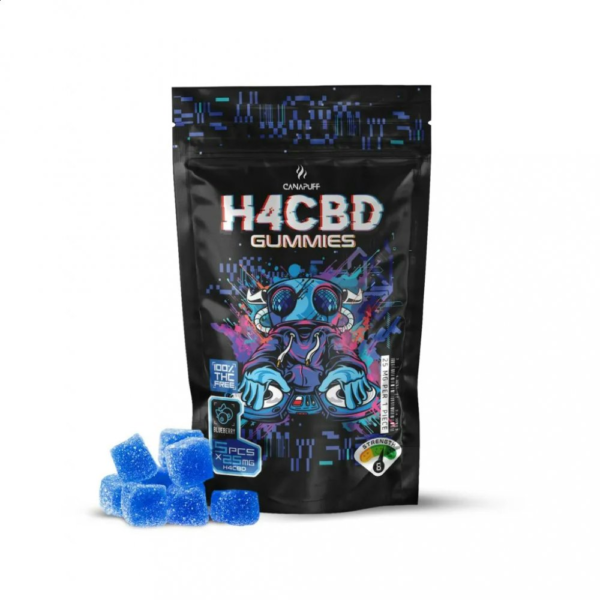 H4CBD Gummies Blueberry