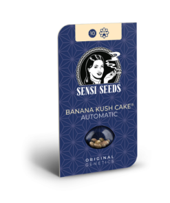 Sensi Seeds Cannabis Seeds Banana Kush Cake Automatic Feminized