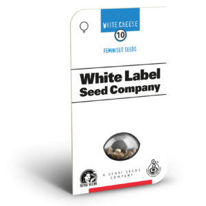 Sensi Seeds Cannabis Seeds White Cheese Feminized by White Label