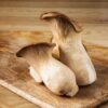 cardoncelli mushrooms