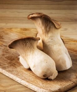 Fresh Cardoncelli Mushrooms