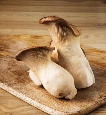 cardoncelli mushrooms