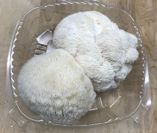 Lion’s Mane Mushrooms Fresh, Brain-Boosting, and Nutrient-Rich