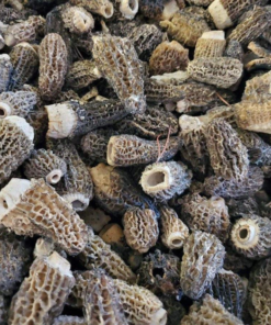 morel mushroom cost