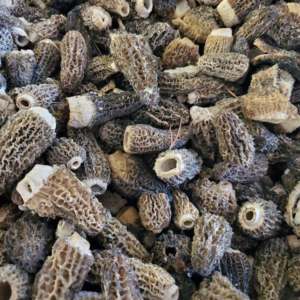 morel mushroom cost