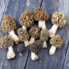 Organic Morel Mushrooms Gourmet Delicacy with Rich Flavor and Nutritional Benefits