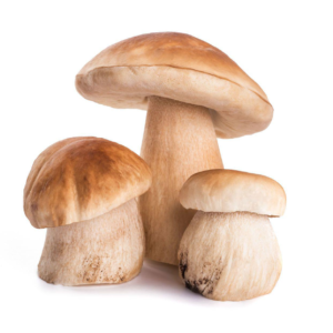 Organic Porcini Mushrooms