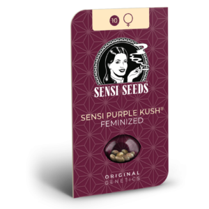 Sensi Seeds Cannabis Seeds Sensi Purple Kush® Feminized