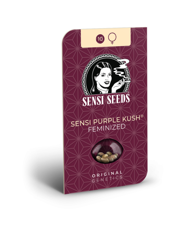 Sensi Seeds Cannabis Seeds Sensi Purple Kush® Feminized