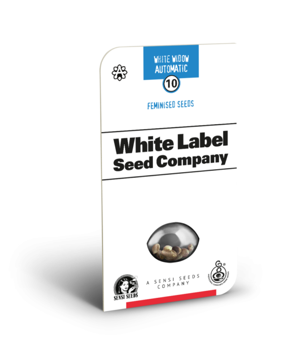 Sensi Seeds Cannabis Seeds White Widow Automatic Feminized