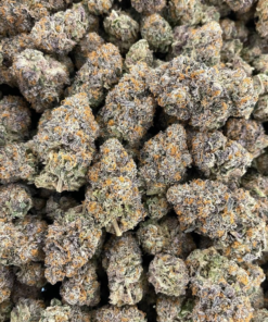 Juug Gelato 41