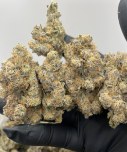 White 99 Premium Flower