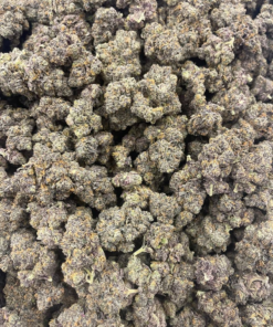 zerbert strain