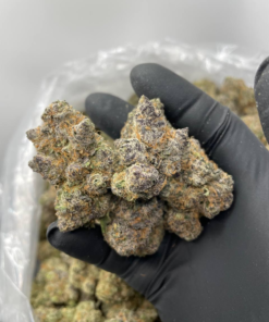 cherry burger strain