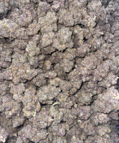 sherbz strain